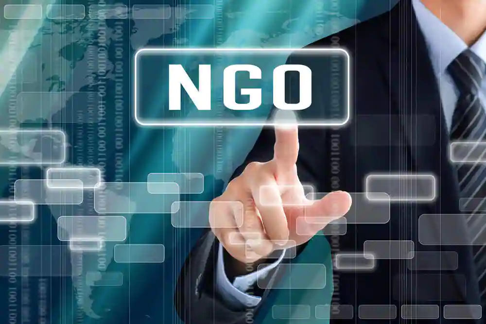 ngo website developer in bharatpur